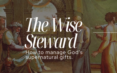 The Wise Steward